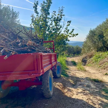 Holiday home Ramaj *