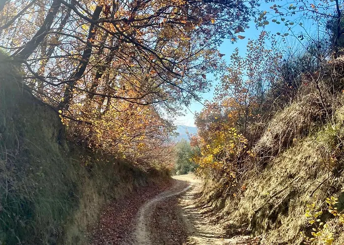 Hébergement de vacances Ramaj Perondi